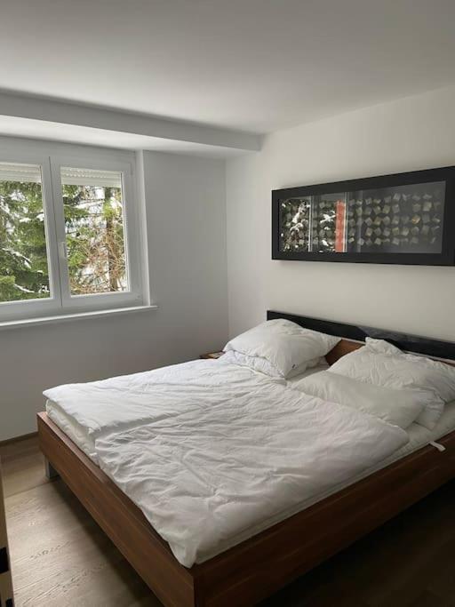 Seewohnung Mit Direktem Seezugang-Skiliftnaehe Villach Exterior foto